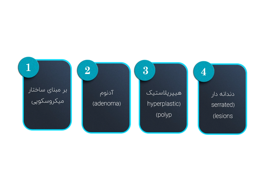 پولیپ روده (پولیپ کولون) چیست؟ 1 پولیپ روده